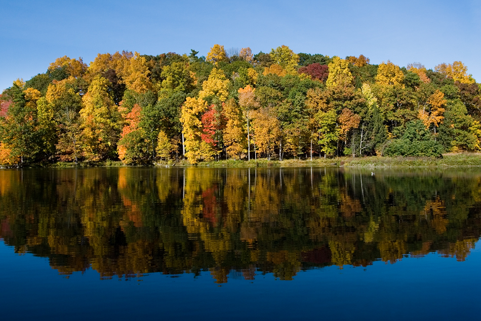 Beebe Lake